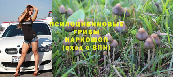 винт Алзамай