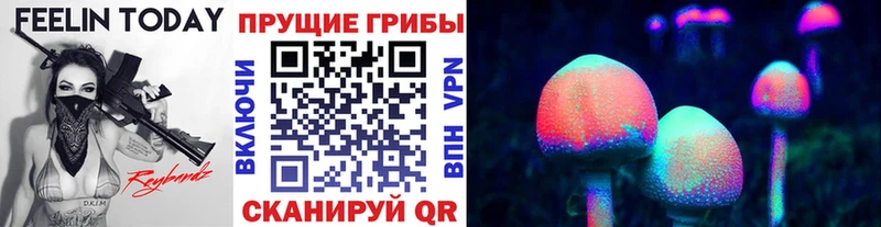 Купить  Спасск-Рязанский  Галлюциногенные грибы мицелий 